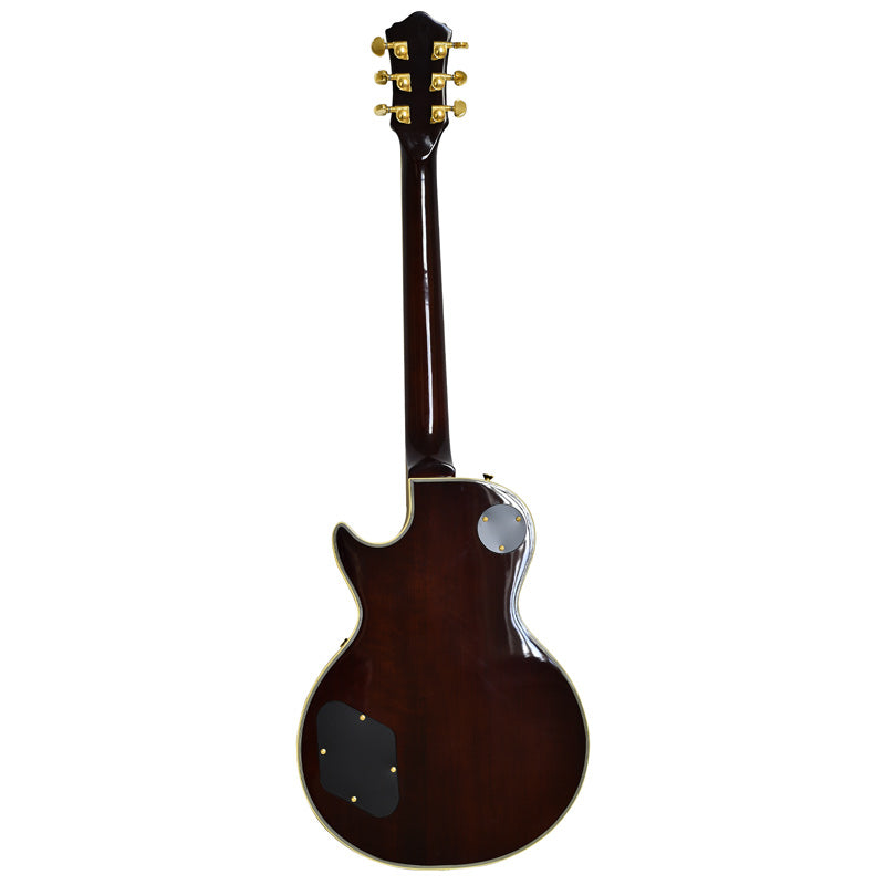 Howler Honey Burst Left or Right Hand With Wolf Hard Case