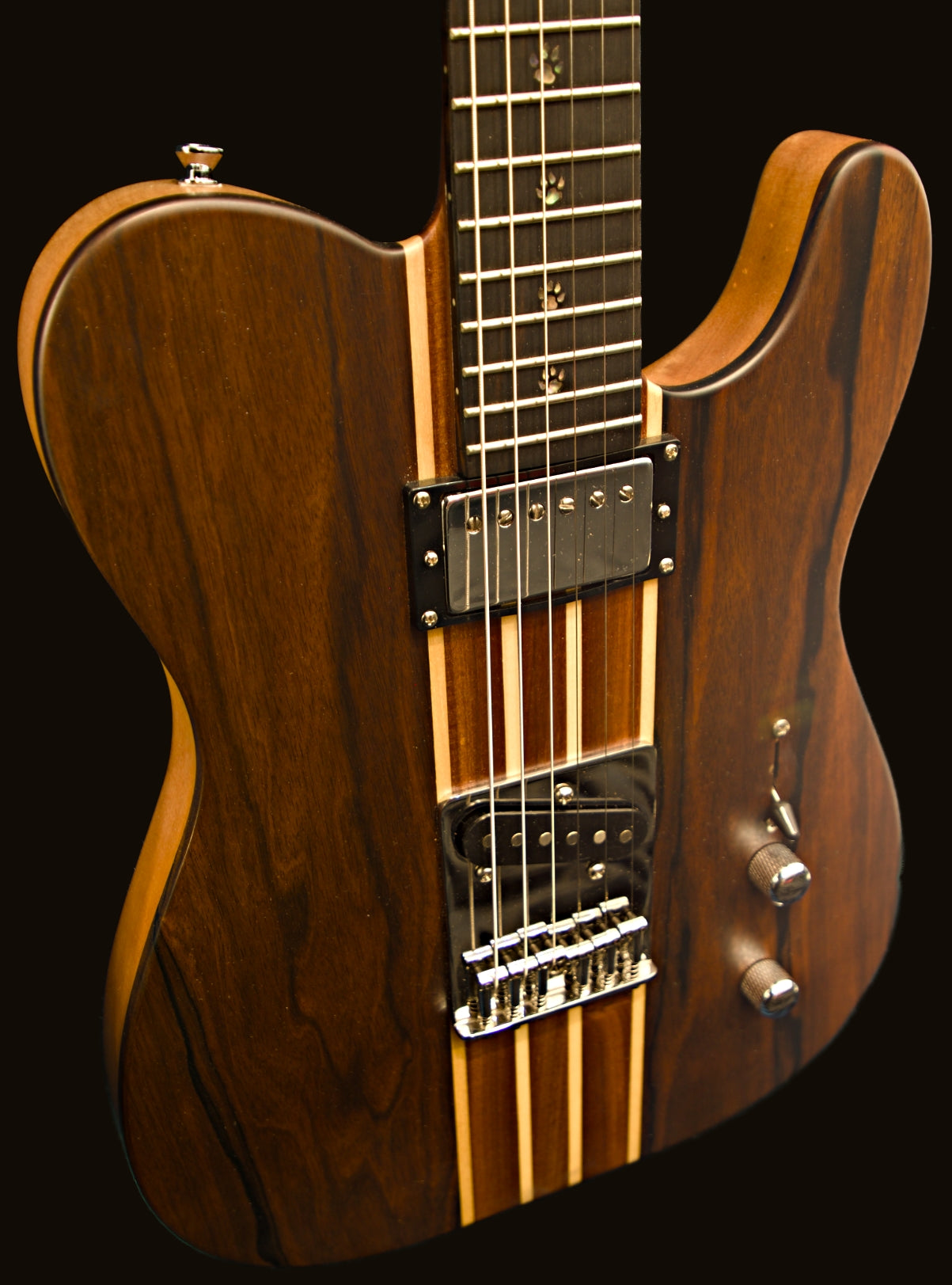 T-Dawg-H With Wolf Hard Case and Pro-Luthier Set Up