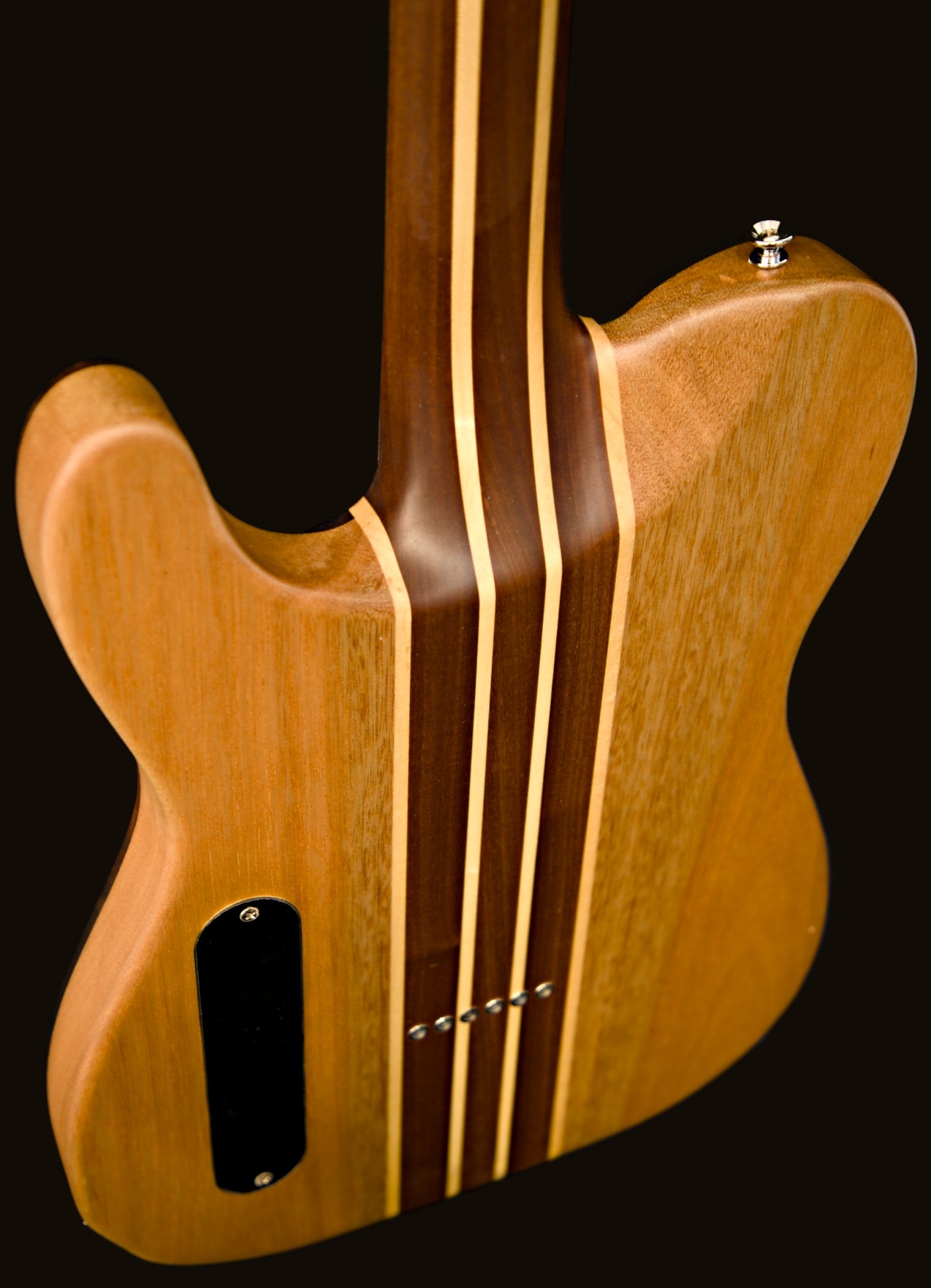 T-Dawg-H With Wolf Hard Case and Pro-Luthier Set Up