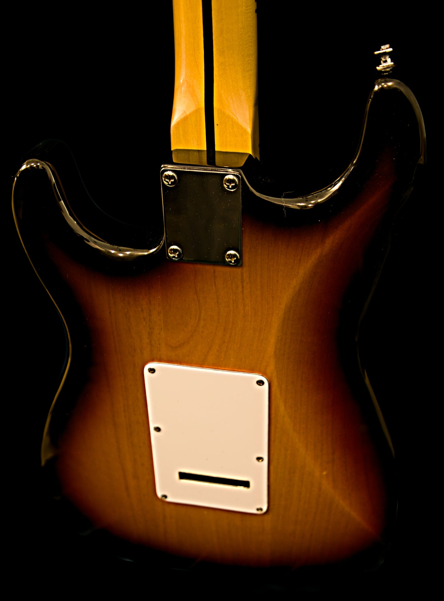 Wolfcaster With Wolf Hard Case and Pro-Luthier Set Up