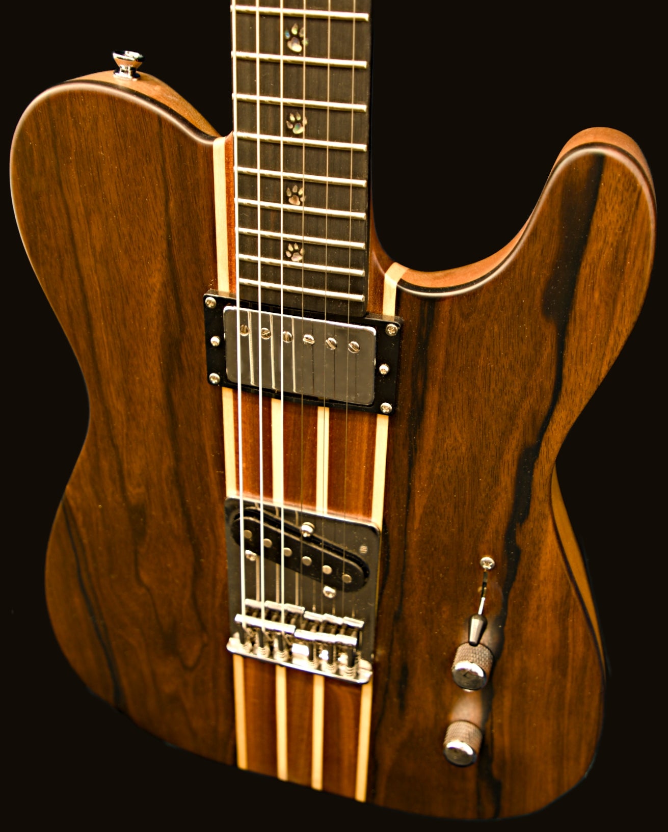 T-Dawg-H With Wolf Hard Case and Pro-Luthier Set Up