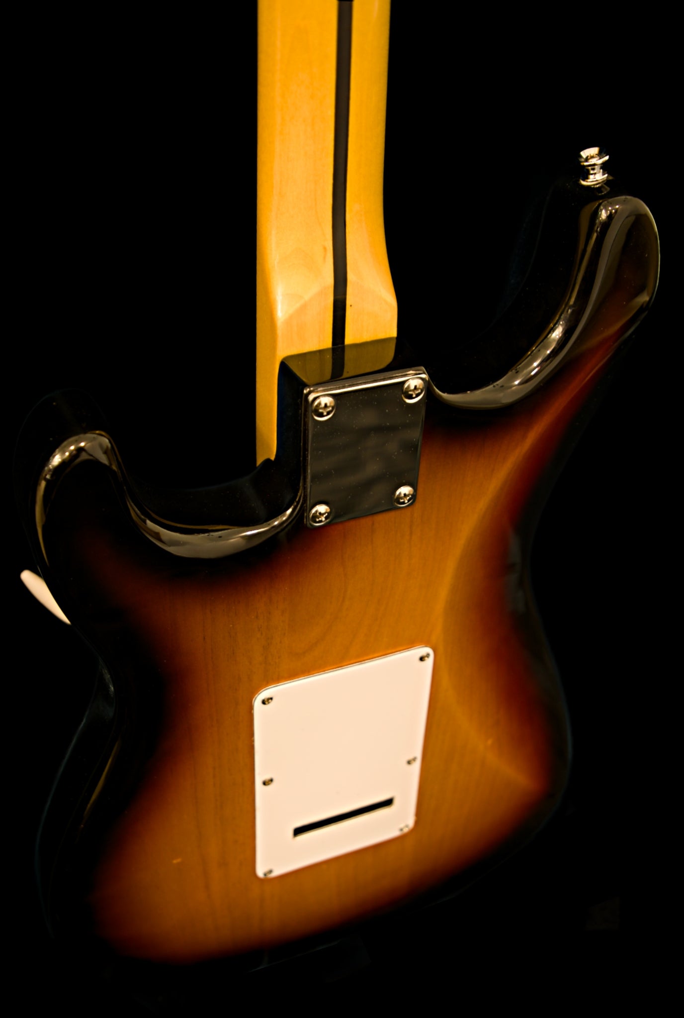 Wolfcaster With Wolf Hard Case and Pro-Luthier Set Up