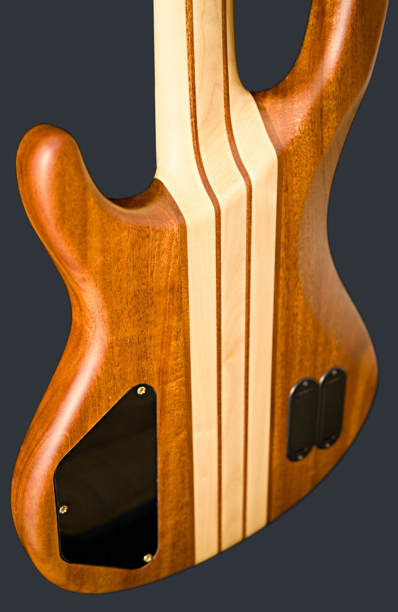 Wildwood-4 Left or Right Hand With Wolf Hard Case and Pro-Luthier Set Up