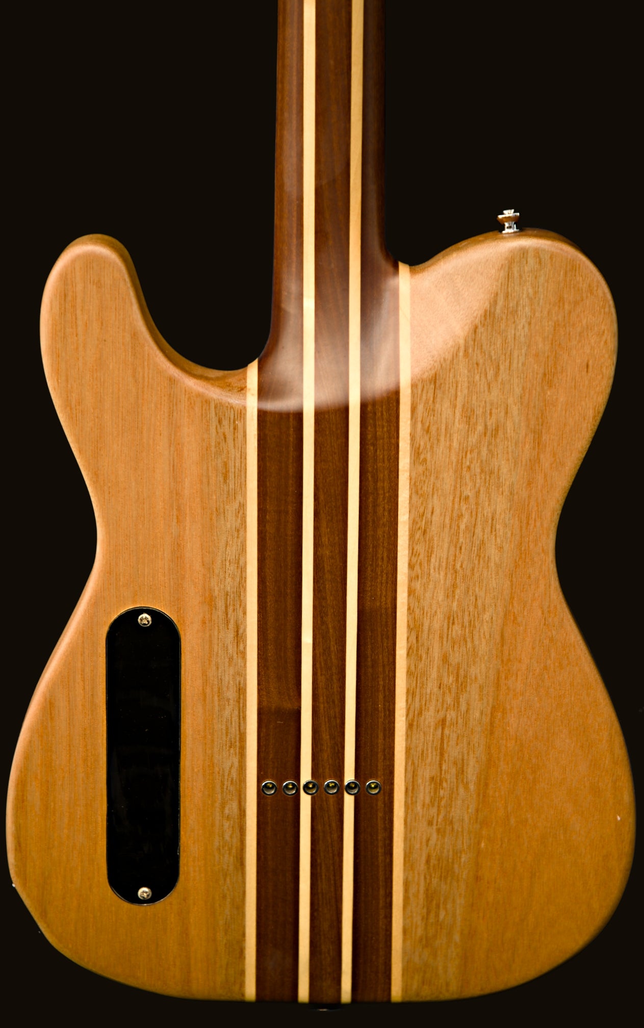 T-Dawg-H With Wolf Hard Case and Pro-Luthier Set Up