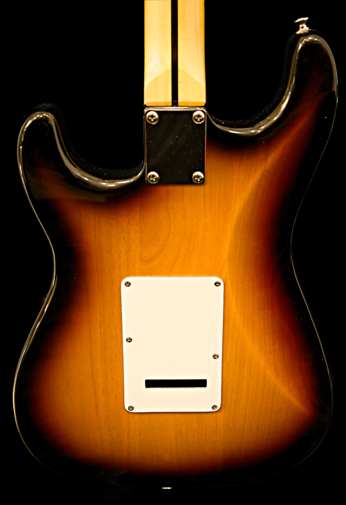 Wolfcaster With Wolf Hard Case and Pro-Luthier Set Up