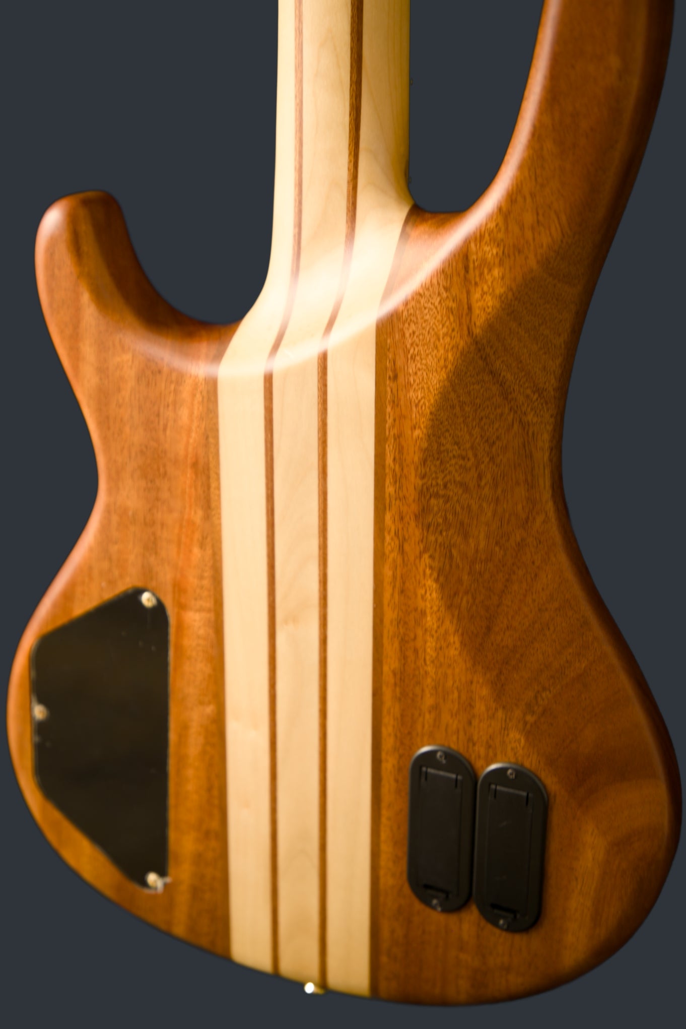 Wildwood-4 Left or Right Hand With Wolf Hard Case and Pro-Luthier Set Up