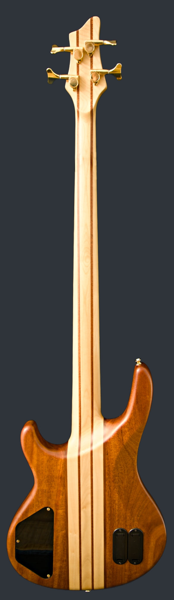 Wildwood-4 Left or Right Hand With Wolf Hard Case and Pro-Luthier Set Up