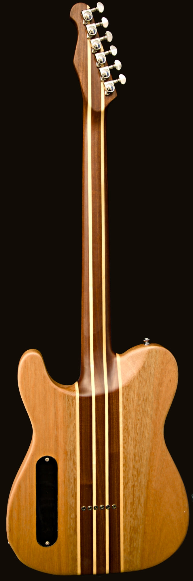 T-Dawg-H With Wolf Hard Case and Pro-Luthier Set Up