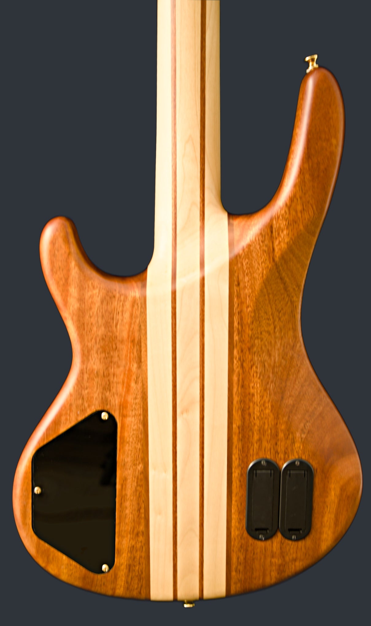 Wildwood-4 Left or Right Hand With Wolf Hard Case and Pro-Luthier Set Up