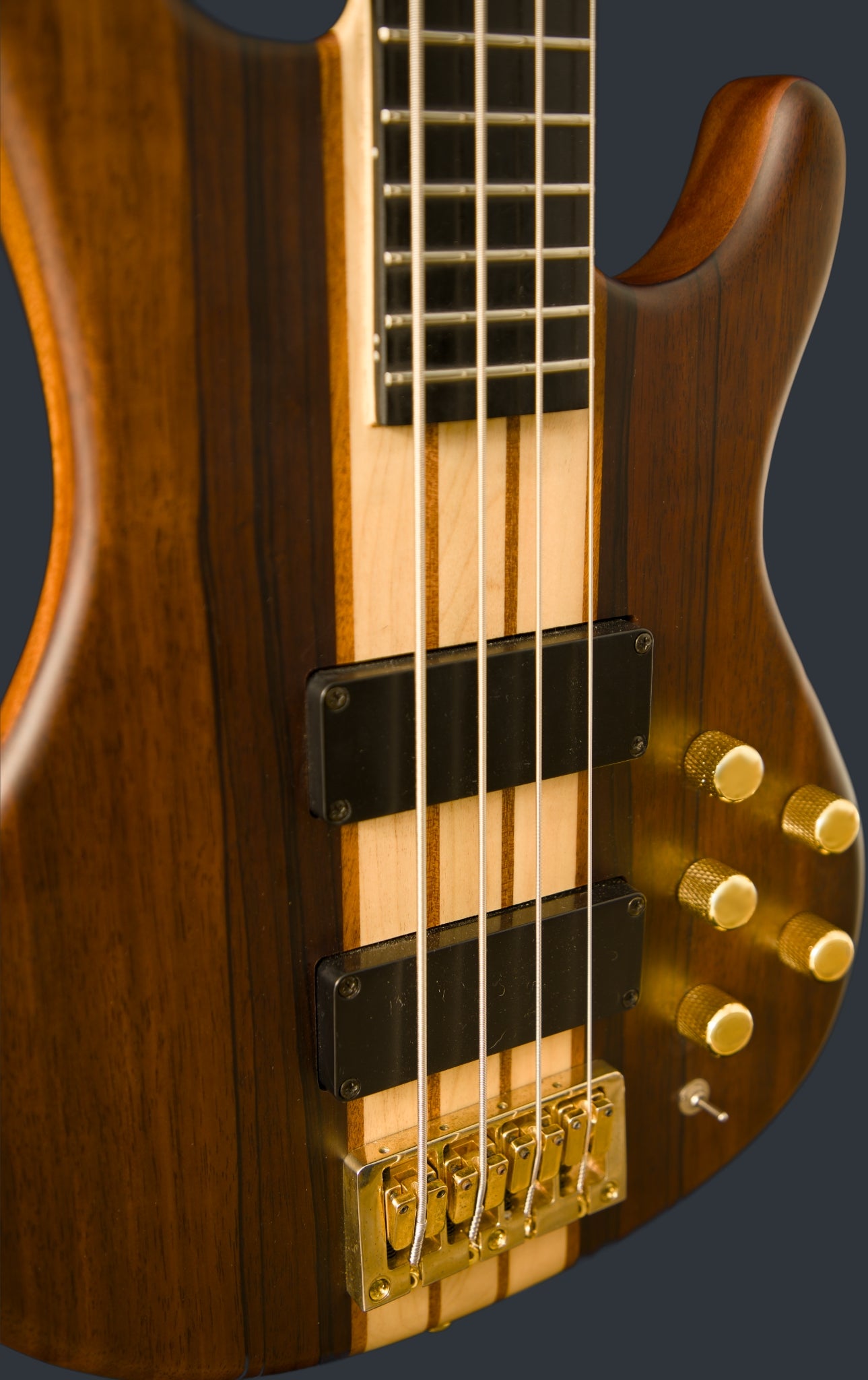 Wildwood-4 Left or Right Hand With Wolf Hard Case and Pro-Luthier Set Up
