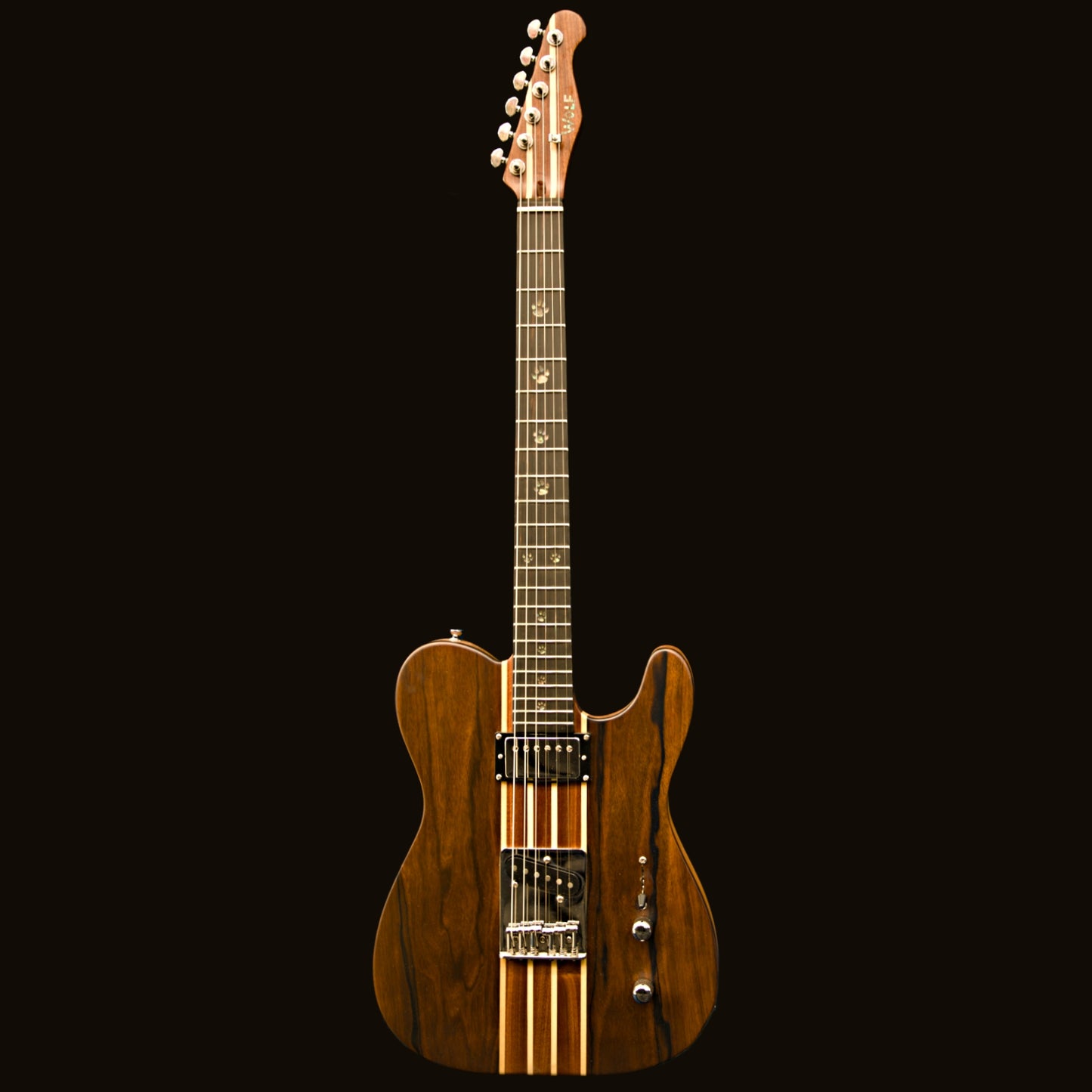 T-Dawg-H With Wolf Hard Case and Pro-Luthier Set Up