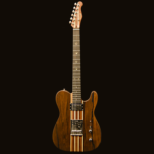 T-Dawg-H With Wolf Hard Case and Pro-Luthier Set Up