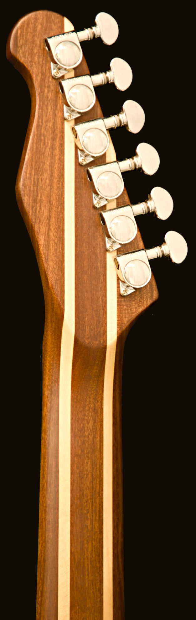 T-Dawg-H With Wolf Hard Case and Pro-Luthier Set Up