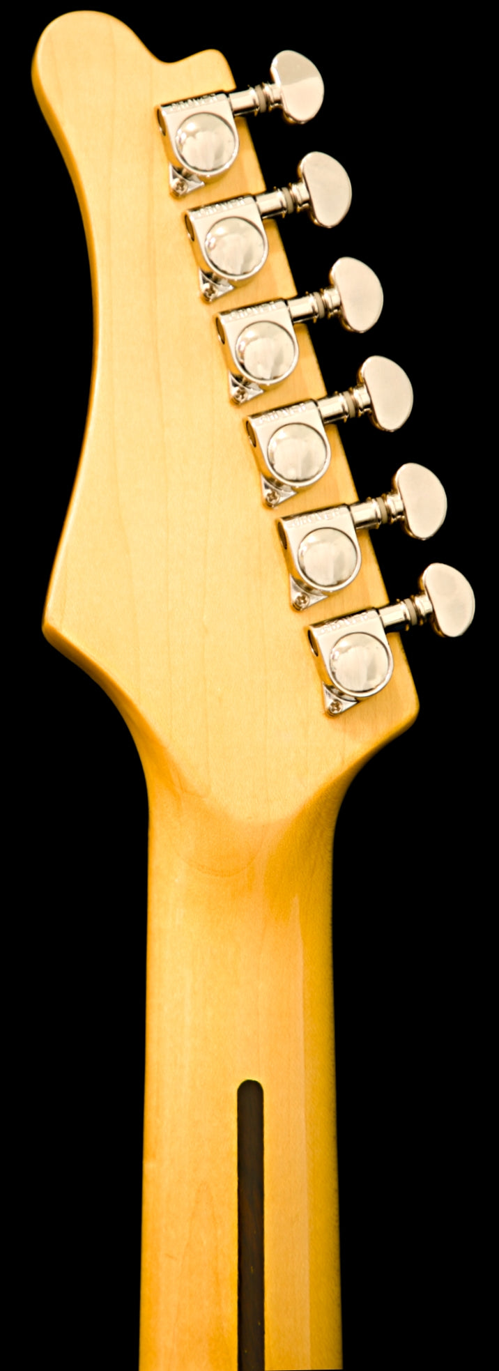 Wolfcaster With Wolf Hard Case and Pro-Luthier Set Up