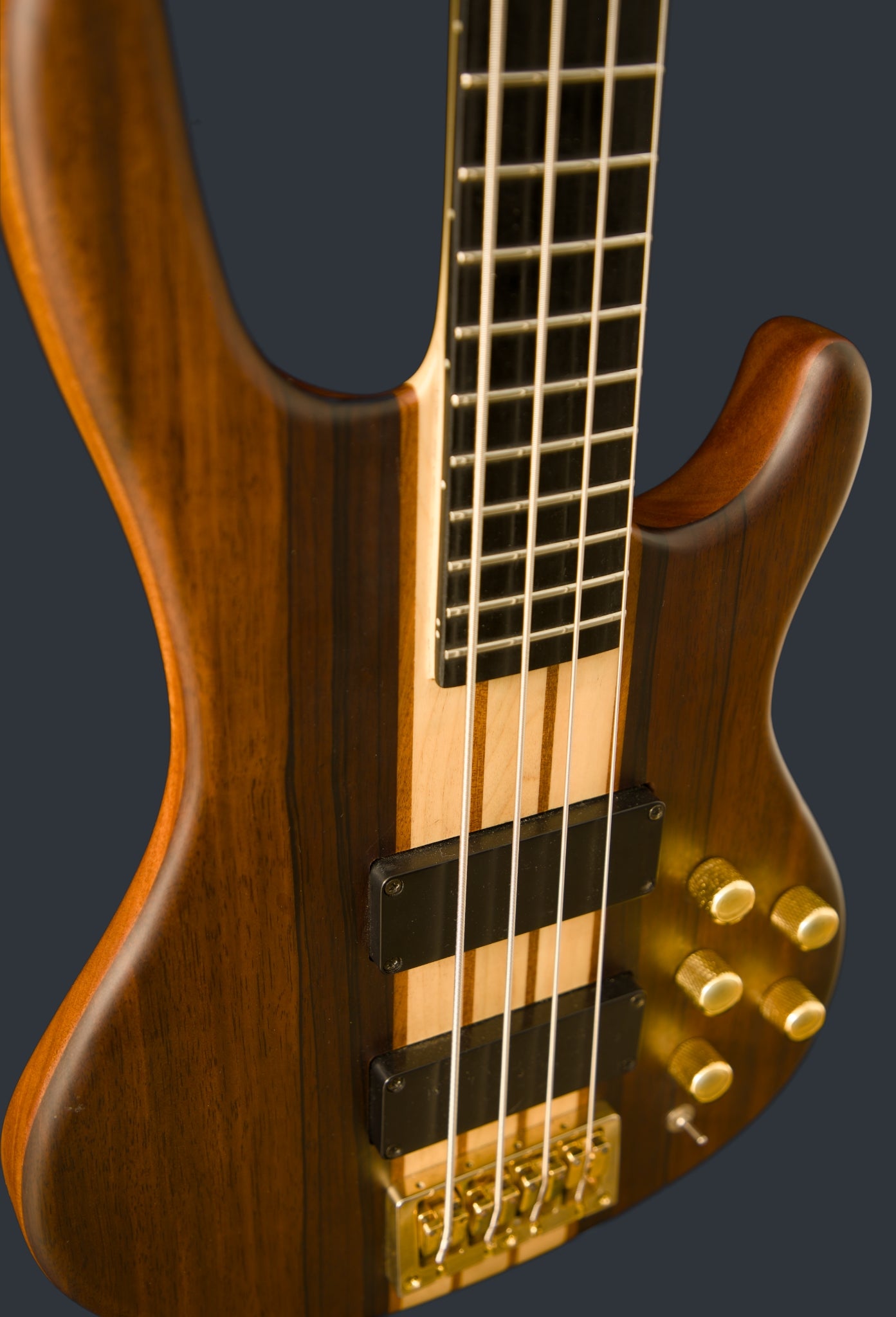 Wildwood-4 Left or Right Hand With Wolf Hard Case and Pro-Luthier Set Up