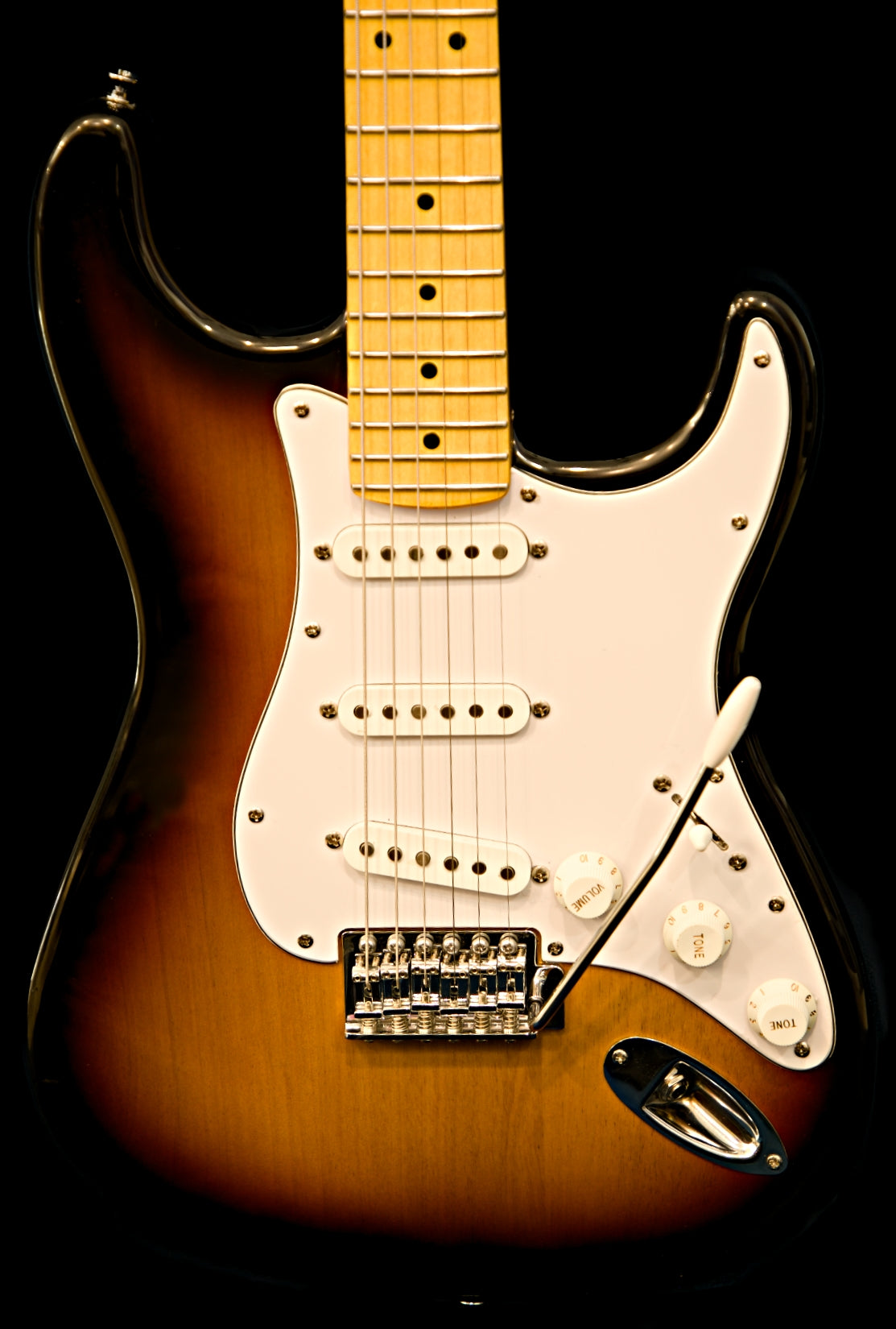 Wolfcaster With Wolf Hard Case and Pro-Luthier Set Up