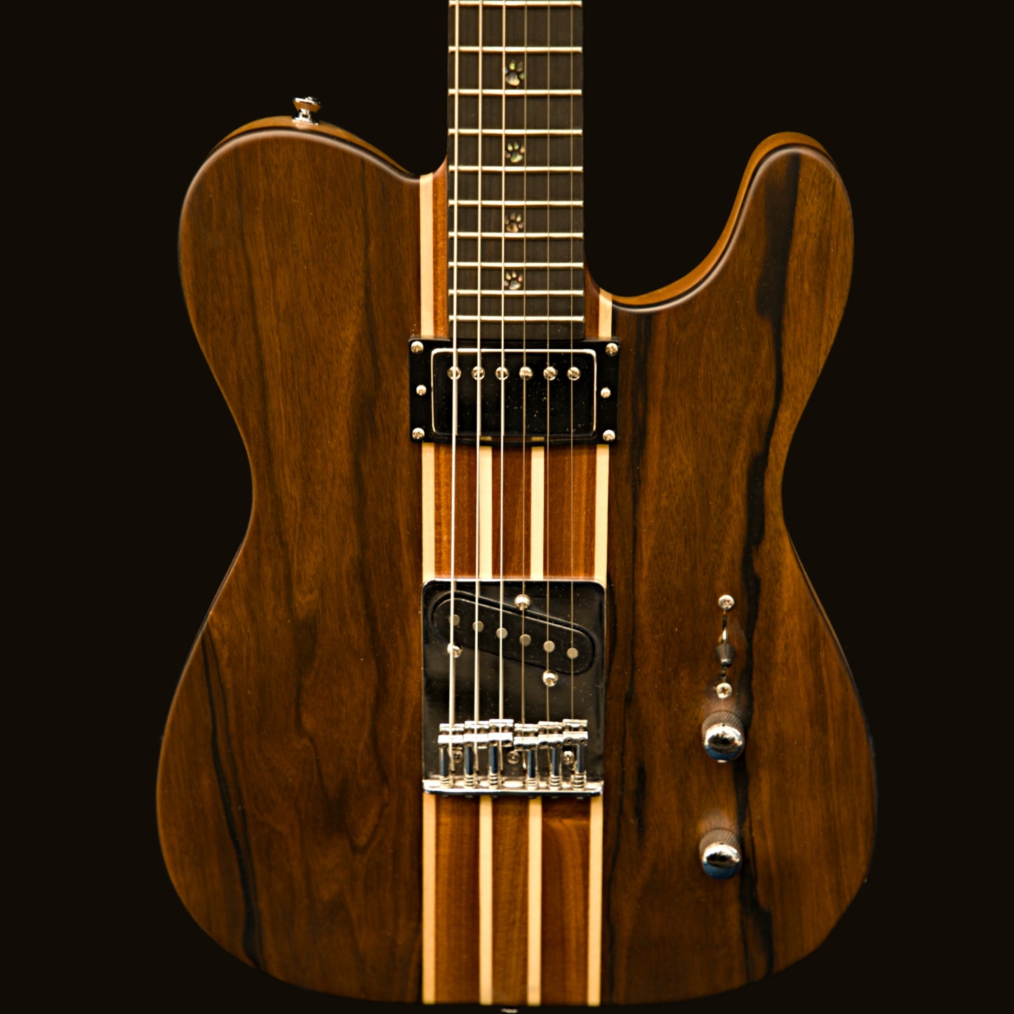 T-Dawg-H With Wolf Hard Case and Pro-Luthier Set Up