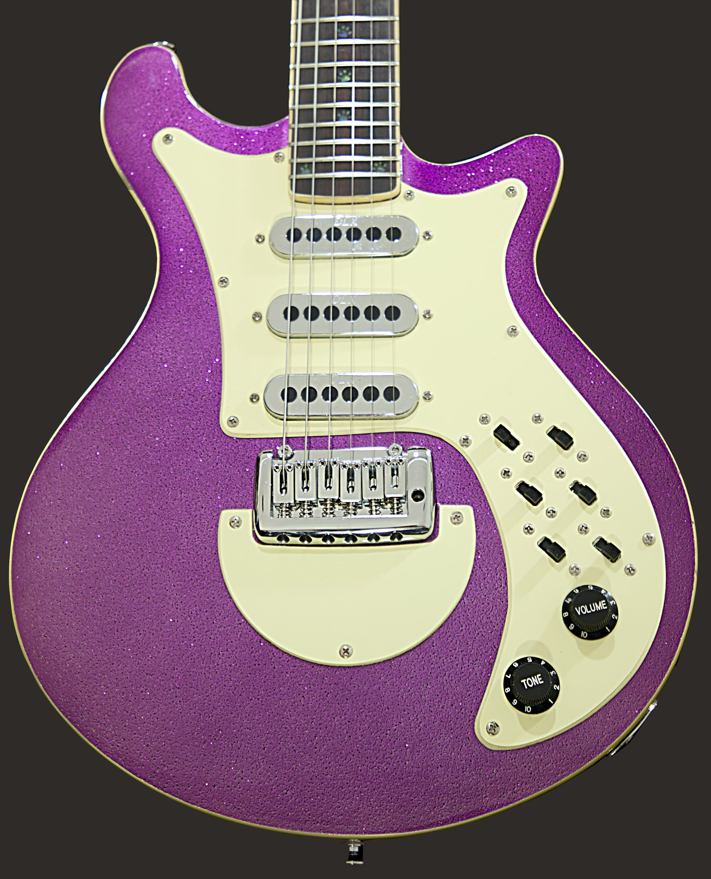 Monarch PURPLE REIGN With Wolf Hard Case and Pro-Luthier Set Up