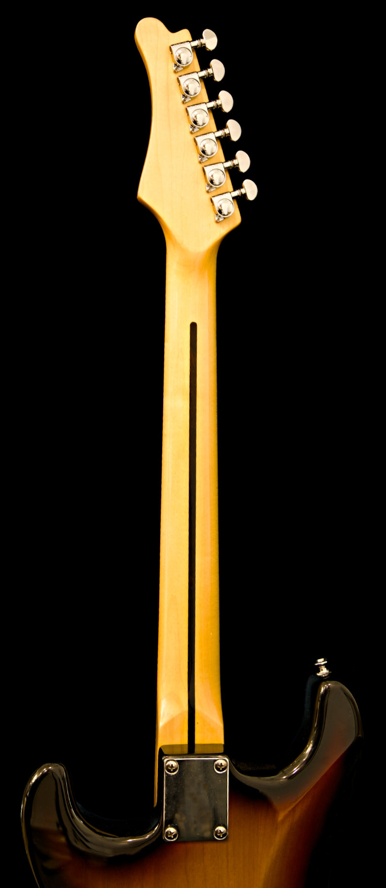 Wolfcaster With Wolf Hard Case and Pro-Luthier Set Up