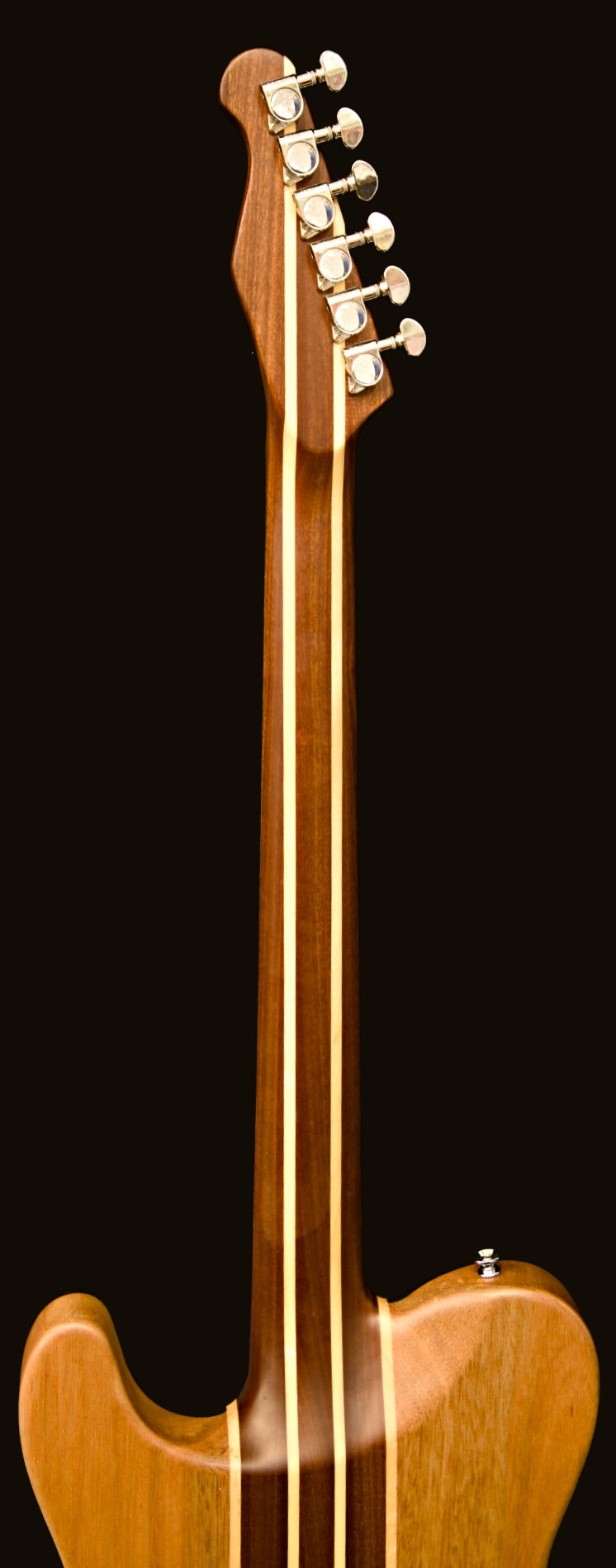 T-Dawg-H With Wolf Hard Case and Pro-Luthier Set Up