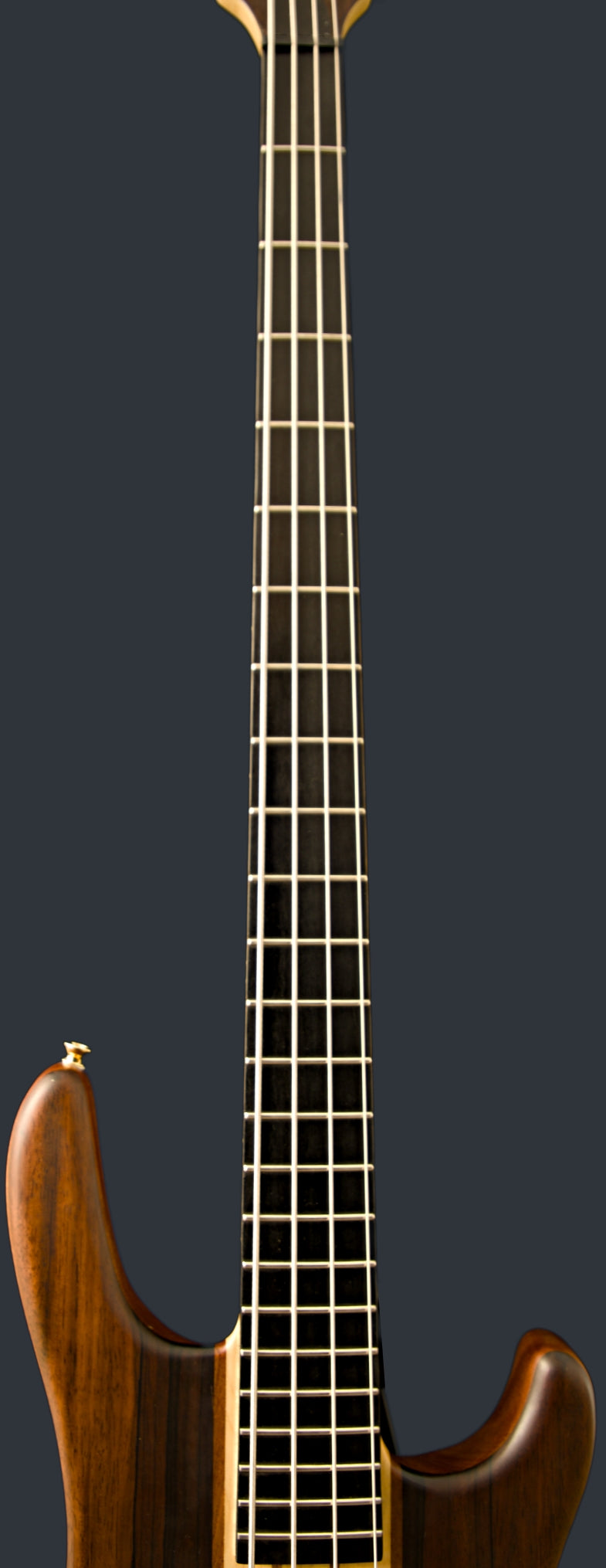 Wildwood-4 Left or Right Hand With Wolf Hard Case and Pro-Luthier Set Up