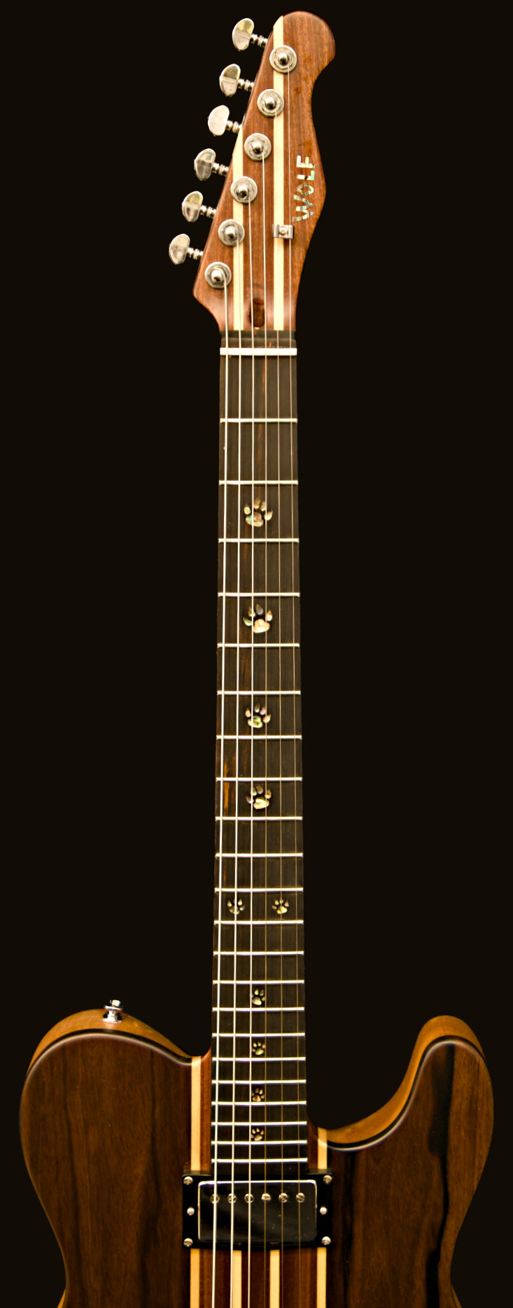 T-Dawg-H With Wolf Hard Case and Pro-Luthier Set Up